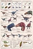 (24x36) Laminated Feathered Dinosaurs Educational Science Chart Poster