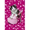 Cat in Pink Shoe