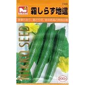 【種子】霜知らず地這きゅうり [2444]