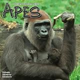 Eigenschaften Avonside Publishing Ltd.  / Kalender 2009 Affen - Apes - Menschenaffen