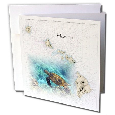 3dRose Greeting Cards, 6 x 6 Inches, Pack of 6, Print of Hawaiian Islands Chart with Sea Turtle (gc_204889_1)