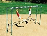Sport Play 501-410P Jr. Horizontal Ladder - Painted
