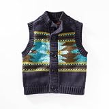 Tea Collection Baby-Boys Infant Alegre Aztec Sweater Vest