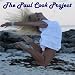 The Paul Cook Project at MP3 downloads for the name: 51Zl-SHHxSL._SL75_