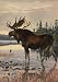 Painting of a Moose Wading in a Lake and Eating Aquatic Plants - 48