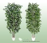 TWO 7' Artificial Trees -Ficus + Mini Ficus with Real Wood Trunks