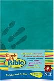 Hands-On Bible NLT 