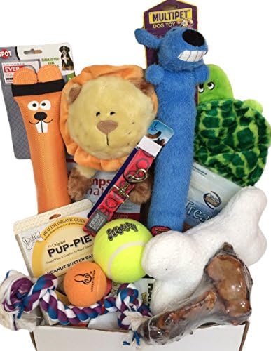 Woof! Doggie Gift Box, Treat &amp; Play, For X-Large Size Dogs