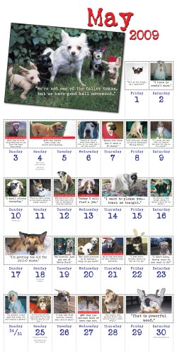 Cover image : Bad Dog 2008-2009 Calendar (Wall Calendars)