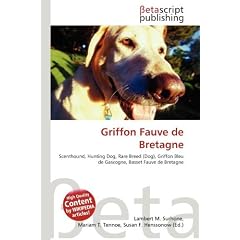 Griffon Fauve de Bretagne