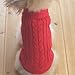 Tangpan Turtleneck Classic Straw-Rope Pet Dog Sweater Apparel (Red,M)