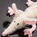 sigikid 37704 - Beasts, I mog Di - Kuscheltier f&uuml;r Erwachsene