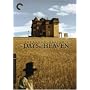 Days of Heaven - Criterion Collection