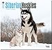 Siberian Huskies 18-Month 2015 Calendar