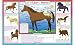 Let's Learn About Horses Activity Placemat