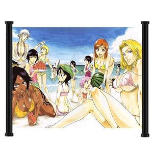 Bleach Anime Fabric Wall Scroll Poster (44"x31") Inches