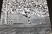 Whitey Ford Autographed/Hand Signed New York Yankees 16x20 Action Photo