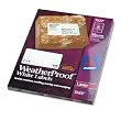 2X4in Weatherproof White Mailing Labels