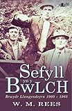 Sefyll yn y bwlch : brwydr Llangyndeyrn 1960-1965