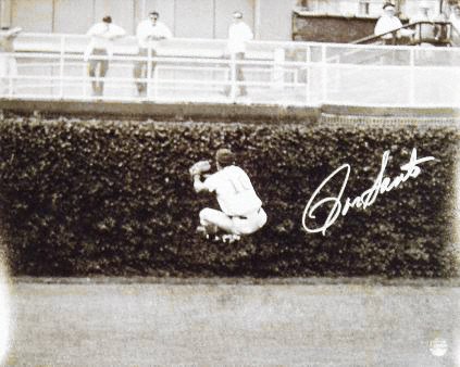 Ron Santo Signed Cubs B&W Heel Click 16x20