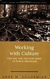 Working With Culture: How the Job Gets Done in Public Programs (Public Affairs and Policy Administration Series)