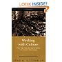 Working With Culture: the Way the Job Gets Done In Public Programs (Public Affairs and Policy Administration Series)