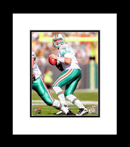 Miami Dolphins Chad Henne Framed 8x10 Picture