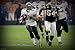 NFL Baltimore Ravens Ray Rice Touchdown In Your Face Mural Wall Graphic