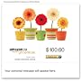 Amazon.ca Gift Certificate (E-mail) - Flower Pots by Amazon.ca Gift Certificate
