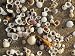 Shells on Sand, Marang, Terengganu, Malaysia Lonely Planet Collection Photographic Po...