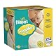 Pampers Swaddlers Diapers, Size 1-2, 252 Count, $24