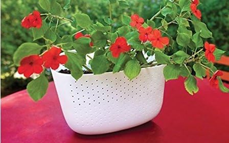 Living Wall Planters, Self-Watering Recycled Plastic Vertical Wall System, Set of 2 (White)