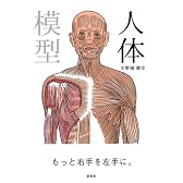 人体模型