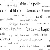 250 Italian Vocabulary Words Shower Curtain
