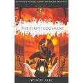 Messiah: Bk. 2: The First Judgement (Chronicles of Brothers)