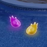Programmable Solar Magic Fish