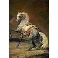 Dappled Grey Horse by Theodore Gericault. Art Print Poster 15 inches width by 18 inches height. Highest Quality Art Poster Print