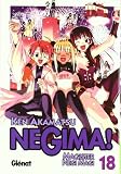 Negima! Magister Negi Magi 18