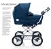 Baby : Inglesina 2008 Sofia With Bassinet and Stroller Seat (Chassis included)