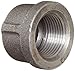 Anvil 8700132205, Malleable Iron Pipe Fitting, Cap, 1/2