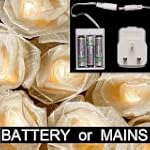 Blaze On Cream Cabbage Rose Battery a...