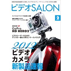 ビデオ SALON (サロン) 2012年 02月号 [雑誌]