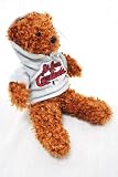 ST LOUIS CARDINALS OFFICIAL MLB LOGO 8IN SPECIAL FABRIC PLUSH HOODIE TEDDY BEAR