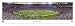 Minnesota Vikings Unframed Panoramic