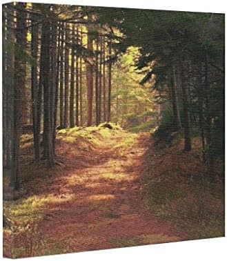 Fatbeauty Sunlight Trees Wall Canvas Art