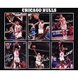 Chicago Bulls (Scottie Pippen, Michael Jordan, John Paxson, Horace Grant, B.J. Armstrong, Bill Cartwright) Sports Poster Print - 16x20