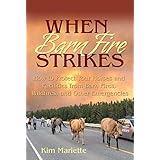 when barn fire strikes how to protect your horses and facilities from barn fires wildfires and other emergencies
