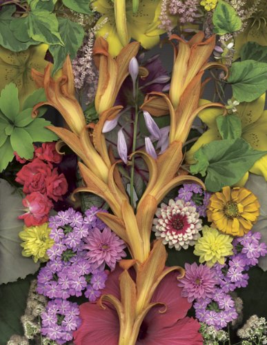 Springbok Floral Solstice 1000 Piece Jigsaw Puzzle Springbok Floral Solstice 1000 Piece Jigsaw Puzzle