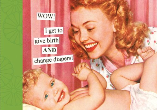 Chronicle Books Wow! I Get to Give Birth and Change Diapers Photo Album (Anne Taintor)