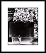 Willie Mays Framed New York Giants 8x10 Photo (The Catch)